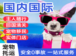 达州金垭机场快运国际宠物托运 【国